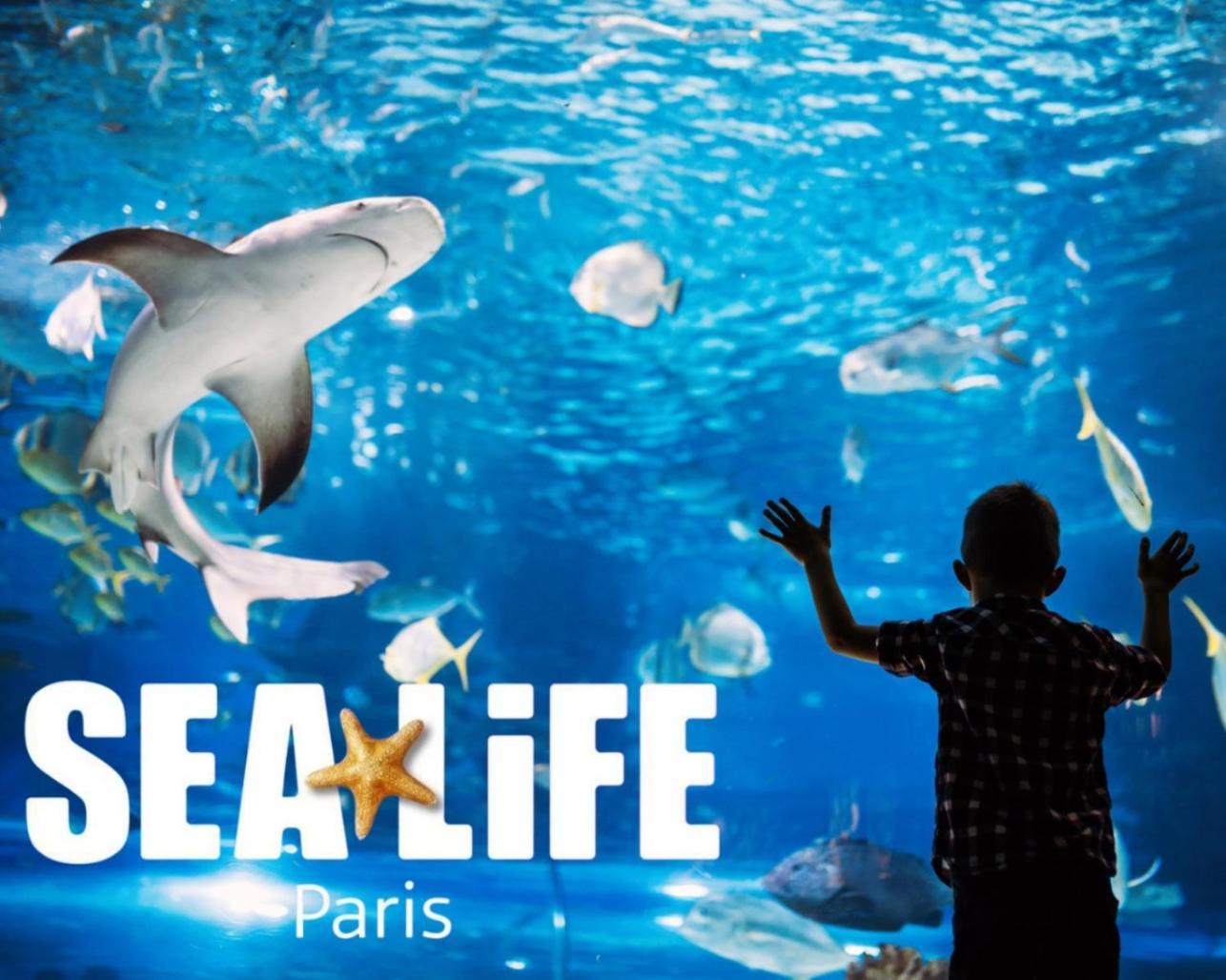 L Eiffel Disney 5Min Paris 35Min Parking Terrasse 세리스 외부 사진